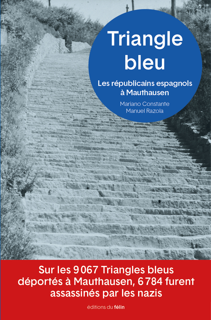 Triangle Bleu Triangle Bleu